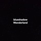 Wonderland Single