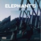 Elephants Single