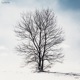 Capillaries EP