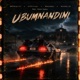 Ubumnandini feat Dlala Ceekai Single