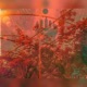 Bloody Roses feat 46Dots Single