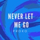 Never Let Me Go Single