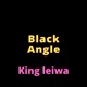 Black Angle feat O B Single