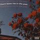 Don t Leave Me In the Past Single