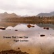 Dreams That Come True Single