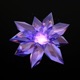 AMETHYST FLOWER Single