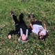 улечу Single