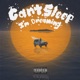 Can t Sleep I m Dreaming EP