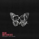 Dead Butterflies Single