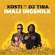 Imali Ingenile feat DJ Tira Single