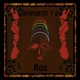 Rise Single