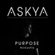 Purpose Acoustic Single