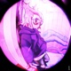 Medusa Single