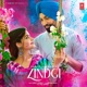 Zindgi Single