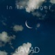 In the Night Single