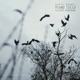 La mélancolie de Satie Piano Cello Single