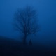 blue hour Single