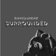Surrounded Single
