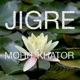 Jigre Single