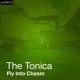 Fly Into Chasm Remixes