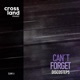 Can t Forget Single
