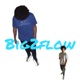 Big2Flow Single