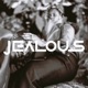 Jealous Single