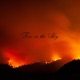 Fire in the Sky Single