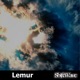 Lemur Single