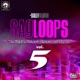 Sagloops Volume 5 The Ultimate Bhangra Shouts For the DJ