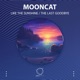 Like The Sunshine The Last Goodbye Single