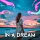 In a Dream Single