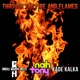 Through the Fire and Flames feat Kade Kalka Chris Allen Hess Single