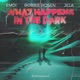 What Happens in the Dark Single
