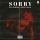 SORRY feat Abhijay Sharma Single