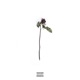 Walking Away Single