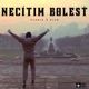 Necítim bolesť Single