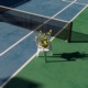 Pickleball Single