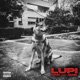 Lupi feat Jamil Single