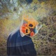 Apology Roses feat Lyrics Single