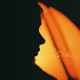 Isla feat Percii IVOITO Single