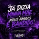 Já Dizia Minha Mãe x Meus Amigos é Bandido feat Rick na Veia Single