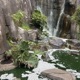 Jungle Book Single