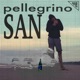 san pellegrino Single