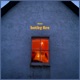 bothy fire Single