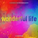 Wonderful Life Klub Rider Remix Single