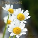 Three Wishes Single