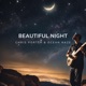 Beautiful Night Single