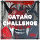 CATAÑO CHALLENGE feat Jj Mejía Single