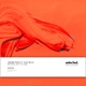 Nothing Left to Lose feat Alex Mills Single